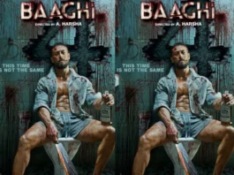 Baaghi 4