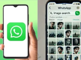 Whatsapp Search on web