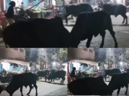 Kannauj Viral Video